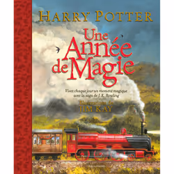 ISBN Une année de magie, Français, 240 pages