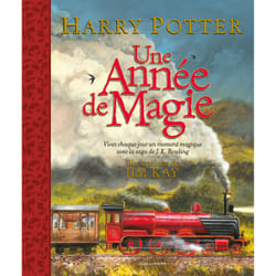 Harry Potter : une année de magie