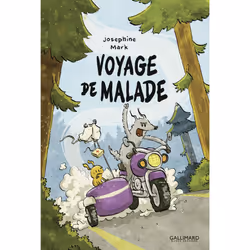 ISBN Voyage de malade, Français, 184 pages