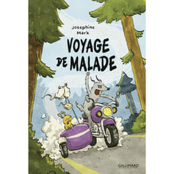 ISBN Voyage de malade