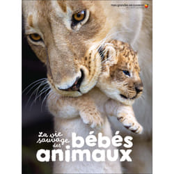 La vie sauvage des bébés animaux