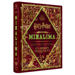 Harry Potter : La magie de MinaLima