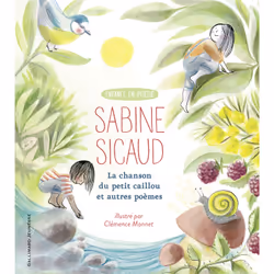 ISBN La chanson du petit caillou et autres poèmes, Français, 28 pages