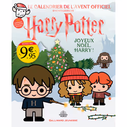ISBN Le calendrier de l'Avent officiel - Joyeux Noël, Harry !, Français, 6 pages