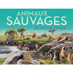 Animaux sauvages du monde entier