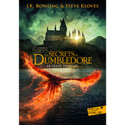 Les animaux fantastiques Tome 3 : Les secrets de Dumbledore : Le texte du film