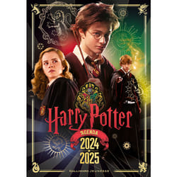 Agenda scolaire 2024/2025 - 12,3 x 17,7 cm - Harry Potter