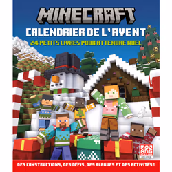 ISBN Minecraft : Calendrier de l'avent, Français, 318 pages
