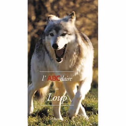 ISBN L’ABCdaire du loup, Livre broché, 120 pages