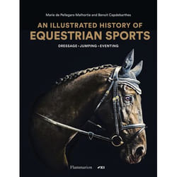 An Illustrated History of Equestrian Sports