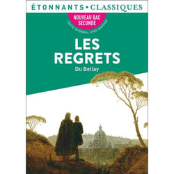 Les Regrets (Broché)
