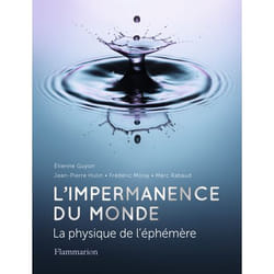 L'impermanence du monde - La physique de l'éphémère (Broché)