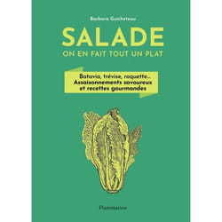 Salade, on en fait tout un plat - Batavia, trévise, roquette... Assaisonnements savoureux et recettes gourmandes (Broché)