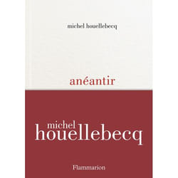 Anéantir (Relié)