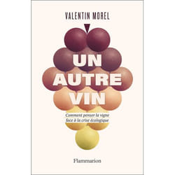 UN AUTRE VIN. COMMENT PENSER LA VIGNE FACE A LA CRISE ECOLOGIQUE, Morel Valentin