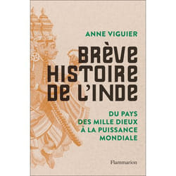 Brève Histoire de l'Inde - Du Pays des Mille Dieux à la puissance mondiale (Broché)