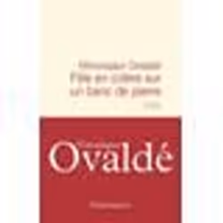 ISBN Fille en colère sur un banc de pierre, Littérature, Livre broché, 320 pages
