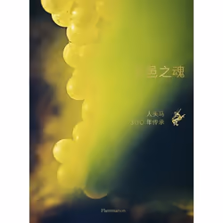 ISBN L'esprit du cognac (chinois), Couverture rigide, 208 pages