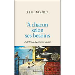 A CHACUN SELON SES BESOINS. PETIT TRAITE D'ECONOMIE DIVINE, Brague Rémi