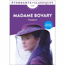 ISBN Madame Bovary, 480 pages