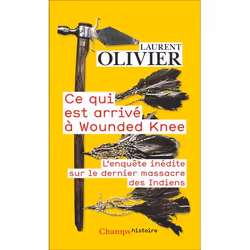 ISBN Ce qui est arrivé à Wounded Knee, histoire, 528 pages