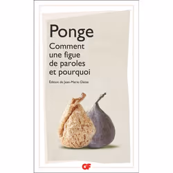 ISBN Comment une figue de paroles et pourquoi, Littérature, 256 pages