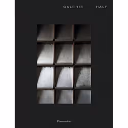 ISBN Galerie Half, Art &amp; design, Couverture rigide, 336 pages