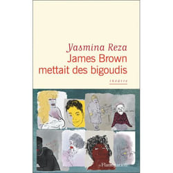 James Brown mettait des bigoudis (Broché)
