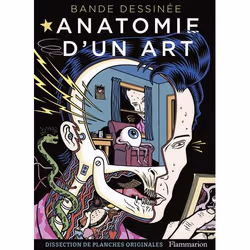 ISBN Bande dessinée - Anatomie d'un art, comédies &amp; nouvelles graphiques, Livre broché, 256 pages