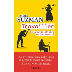 Travailler - La grande affaire de l'humanité (Poche)