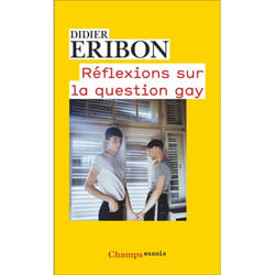 Réflexions sur la question gay