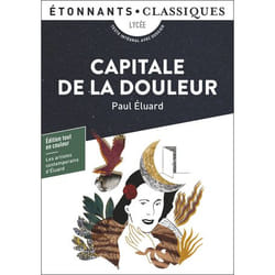 Capitale de la douleur (Poche)