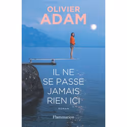ISBN Il ne se passe jamais rien ici, Littérature, Livre broché, 368 pages