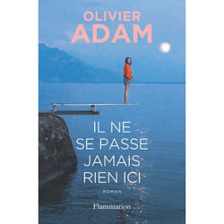 Il ne se passe jamais rien ici (Grand format)