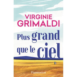 Plus grand que le ciel (broché)