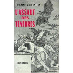 Flammarion L’Assaut des ténèbres livre Littérature Français