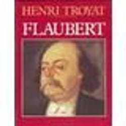 Flammarion Flaubert livre biographie Français
