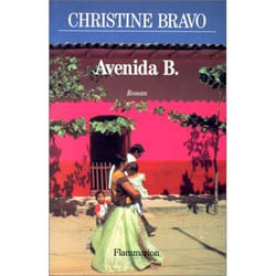 Flammarion Avenida B. livre Littérature Français