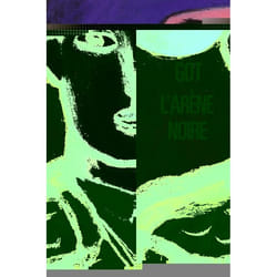 Flammarion L’Arène noire livre Littérature Français