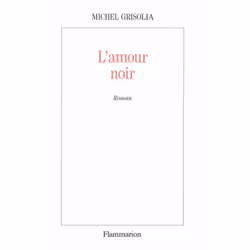 Flammarion L’Amour noir, Littérature, Français, Livre broché, 252 pages