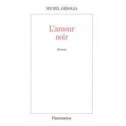 Flammarion L’Amour noir livre Littérature Français