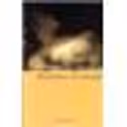 Flammarion Histoires d’amour, Littérature, Français, Livre broché, 408 pages