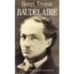 Flammarion Baudelaire livre biographie Français