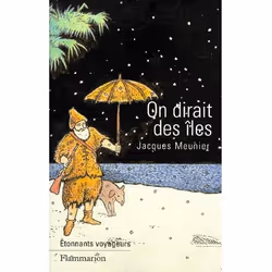 Flammarion On dirait des îles, Littérature, Français, Livre broché, 230 pages