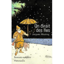 Flammarion On dirait des îles livre Littérature Français