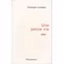Flammarion Une petite vie, Littérature, Français, Livre broché, 156 pages