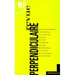 Flammarion Revue perpendiculaire - 10 livre Littérature Français