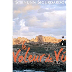 Flammarion Le Voleur de vie livre Littérature Français