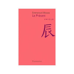 Flammarion Le Présent livre poésie Français