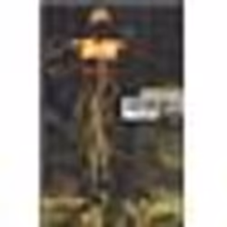 Flammarion Extrêmes, Science Fiction, Français, Livre broché, 266 pages